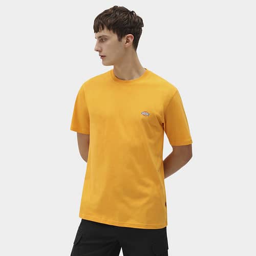 Mapleton er en klassisk hverdags t-shirt fra Dickies, her i farven Cadmium gul