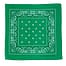 Klassisk grønt bandana/tørklæde med paisley mønster.