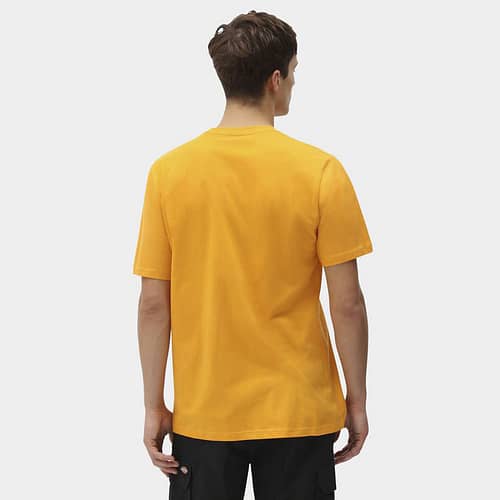 Mapleton er en klassisk hverdags t-shirt fra Dickies, her i farven Cadmium gul