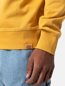 Dickies Loretto-sweatshirten i honninggul med rund hals, en afslappet pasform og et rent, cool look